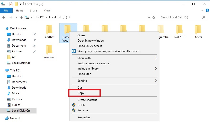Dataedo Web- Folder copy