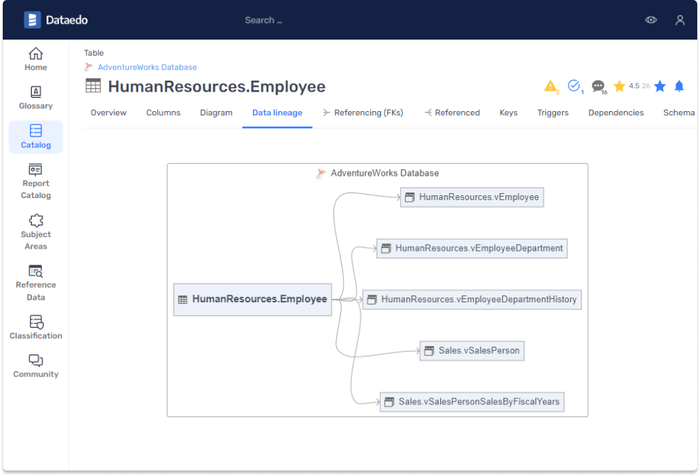 dataedo web catalog profiling